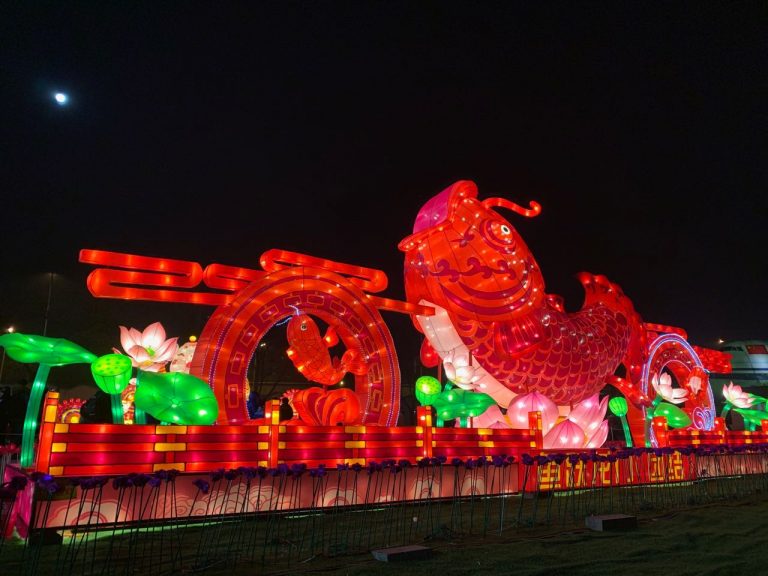 玉壺光轉(zhuǎn)，一夜魚龍舞